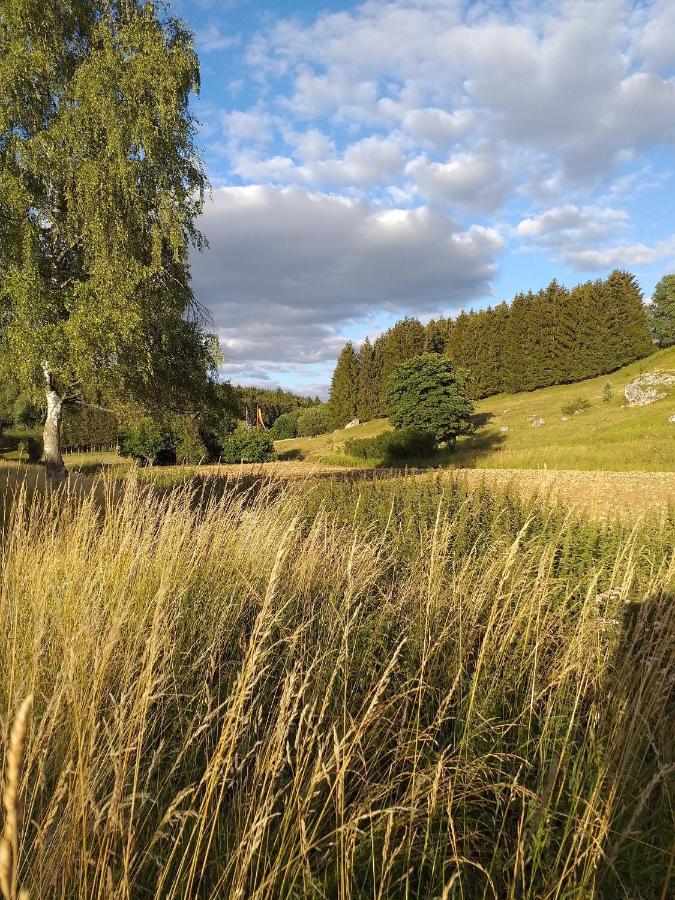 Landcafe Sima & Zimmervermietung Forheim Exteriér fotografie